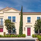 Cadenza at Cypress Village